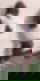 632642388