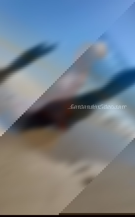 Natalia, mujer latina encantadora. 631456712. Citas en SANTANDER, SANTANDER. www.santandercitas.com.