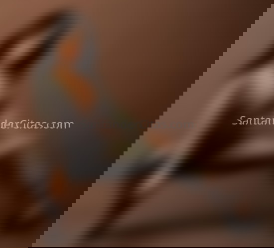 Jazmin, bella latina. 691671770. Citas en SANTANDER, SANTANDER. www.santandercitas.com.