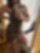 642462824