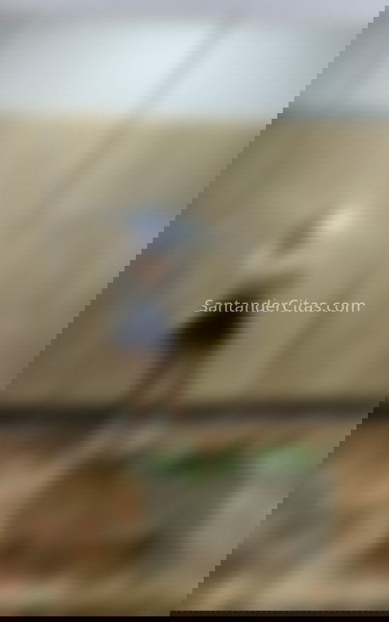 Tiffany, venezolana recién llegada. 647482271. Citas en SANTANDER, SANTANDER. www.santandercitas.com.