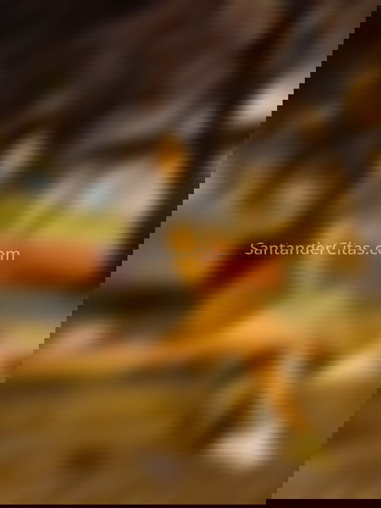 Samantha, colombiana juvenil . 603296194. Citas en SANTANDER, SANTANDER. www.santandercitas.com.