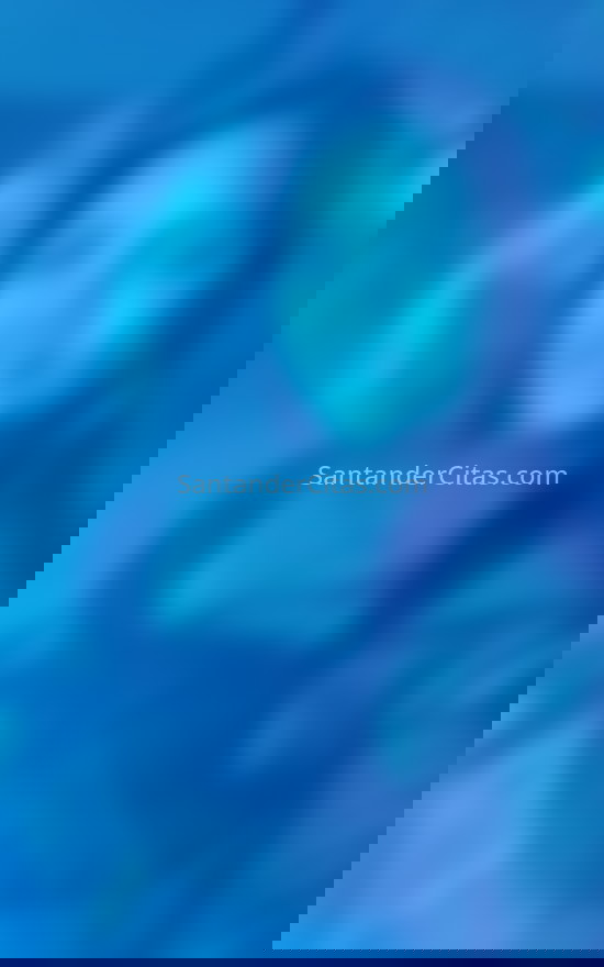 Gina, chica venezolana. 603341820. Citas en SANTANDER, SANTANDER. www.santandercitas.com.