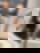 632901237