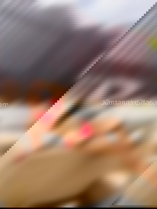 Alejandra, guapa y dulce colombiana . 624141903. Citas en SANTANDER, SANTANDER. www.santandercitas.com.