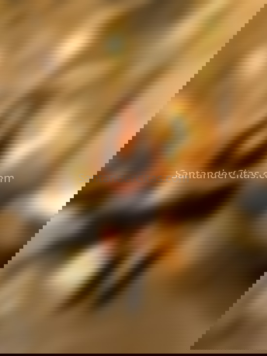 Aylla Queiroz, joven brasileña . 613427791. Citas en SANTANDER, SANTANDER. www.santandercitas.com.